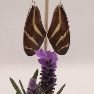 Aretes Colgantes Mariposa Cebrita 013 N Hsca