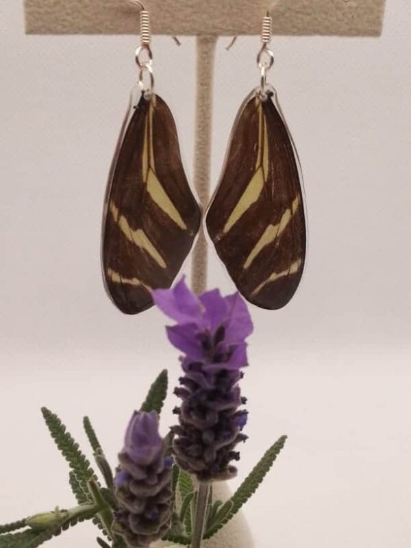 Aretes Colgantes Mariposa Cebrita 013 N Hsca