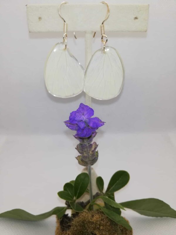 Aretes Colgantes Mariposa Blanca Destellos Negros