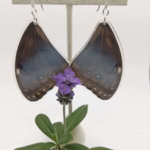 Aretes Colgantes Mariposa Morfo Azul 0322 N Mohr