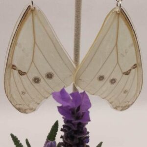 Aretes Colgantes Mariposa Morfo Luna