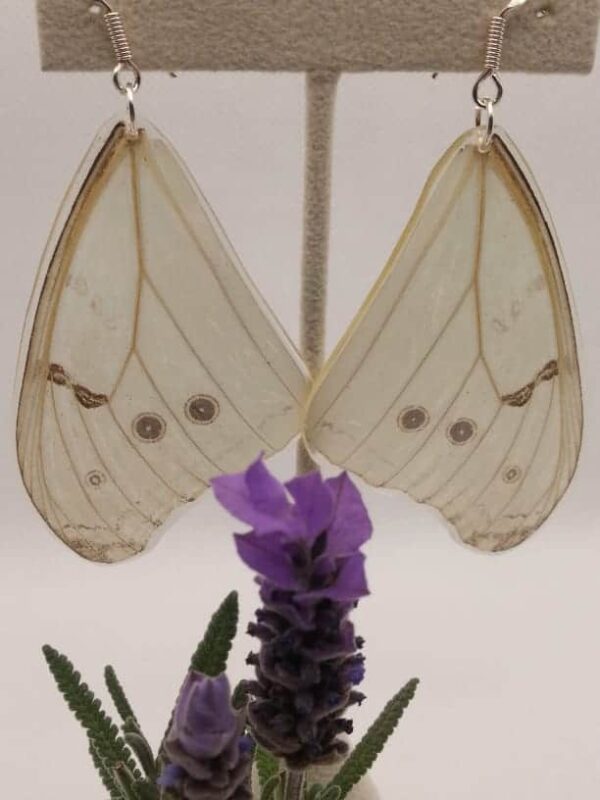 Aretes Colgantes Mariposa Morfo Luna