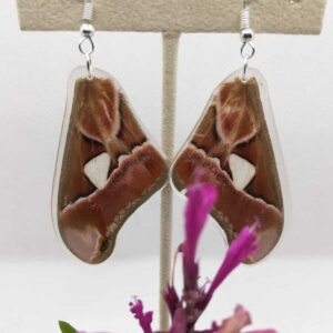 Aretes Colgantes Mariposa Cuatro Espejos 0322 S Ralu