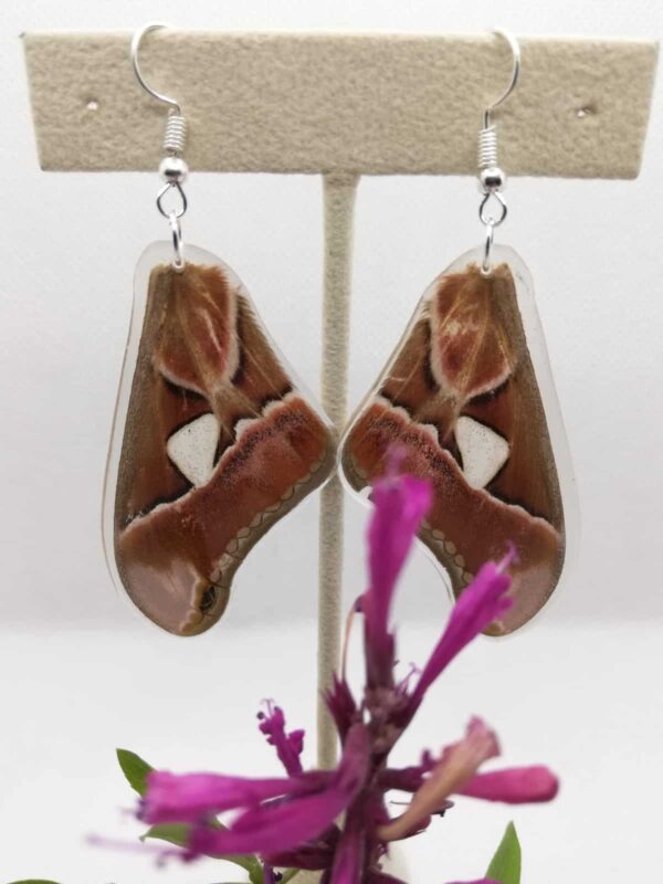 Aretes Colgantes Mariposa Cuatro Espejos 0322 S Ralu