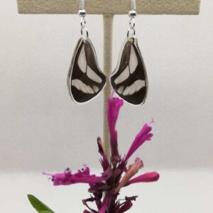 Aretes Colgantes Mariposa de Cristal 0321 N Game