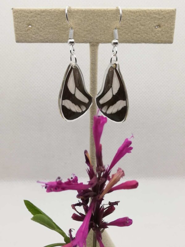 Aretes Colgantes Mariposa de Cristal 0321 N Game