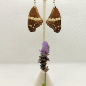 Aretes Colgantes Mariposa Anartia 0321 N Aafma
