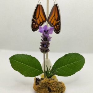 Aretes Colgantes Mariposa Monarca Emperatriz 0321 N Dsps ns