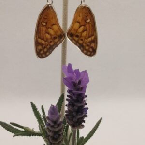 Aretes Colgantes Mariposa Organillo Clara 0321 N Eaha