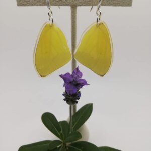 Aretes Colgantes Mariposa Azufre Perlado 0321 p Rste