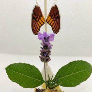 Aretes Colgantes Mariposa Pasionaria Mexicana 0321 N Dema