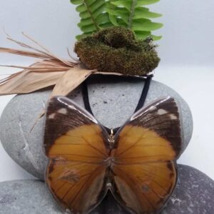 Collar Mariposa Bonita 013 N Saba