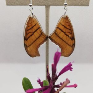 Aretes Colgantes Mariposa Alas de Daga Rojiza 0321 N Maps