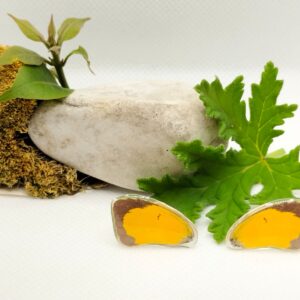 Aretes de Broquel Mariposa Dormilona Naranja 0312 p Asne