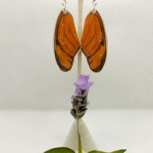 Aretes Colgantes Mariposa Flama 0321 N Dsia