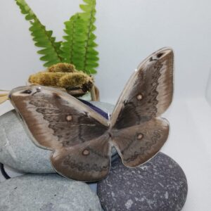 Collar Polilla Gigante de Seda 014 S Casp