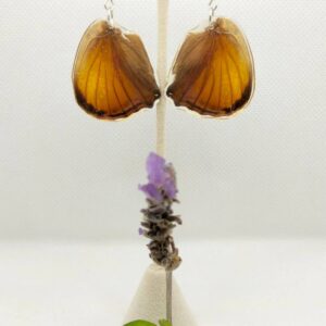 Aretes Colgantes Mariposa Bonita 0321 N Saba