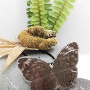 Collar Mariposa Tronadora de Puntos Negros 013 N Hsas