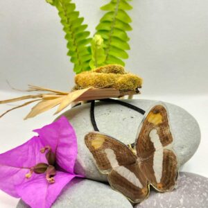 Collar Mariposa Monja Confusa 013 N Aaila