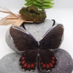 Collar Mariposa Cometa Ilusión 013 P Msis