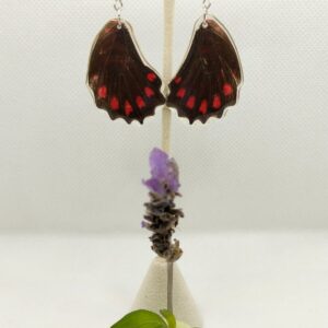 Aretes Colgantes Mariposa Cometa Ilusión 0321 P Msis